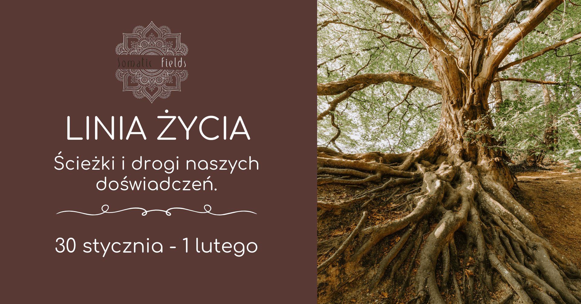linia życia