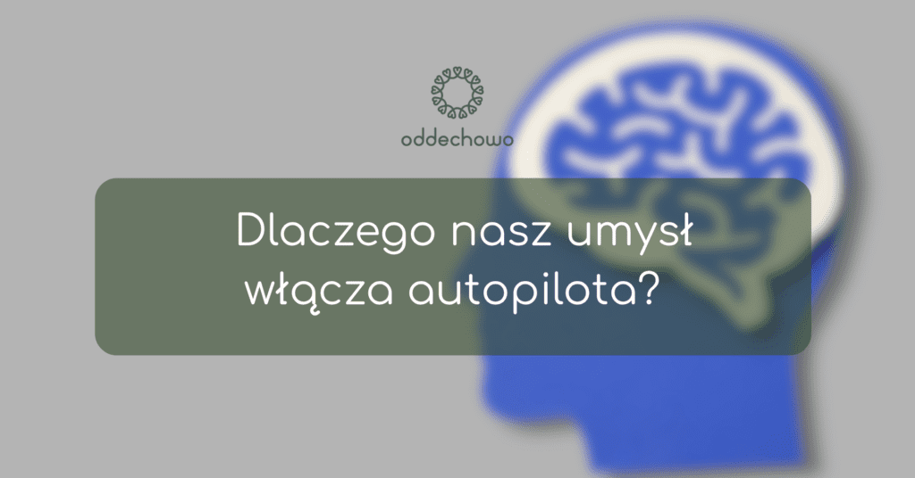 autopilot