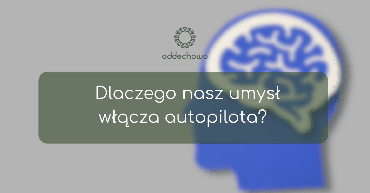 autopilot
